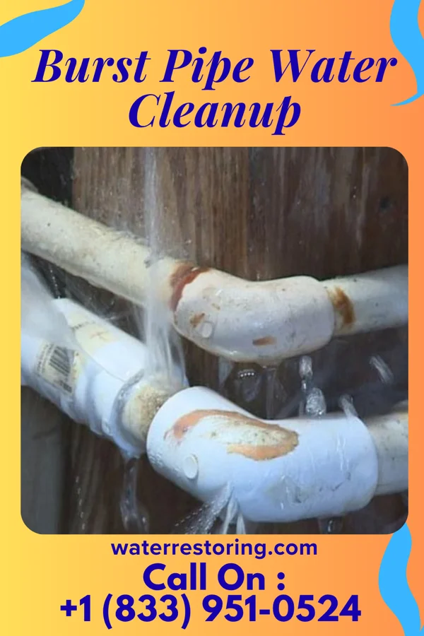 Burst Pipe Water Cleanup in Clinton, OH