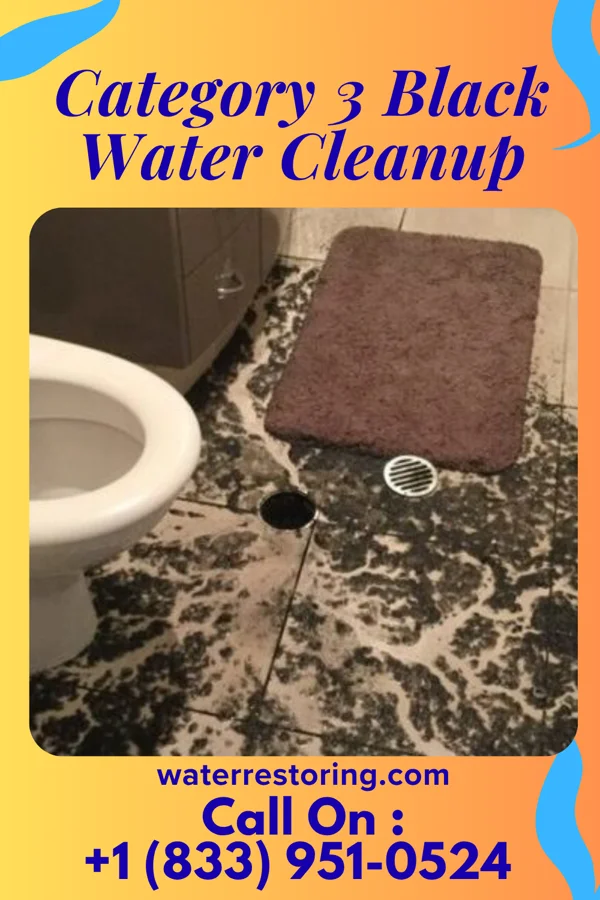 Category 3 Black Water Cleanup in Clinton, OH