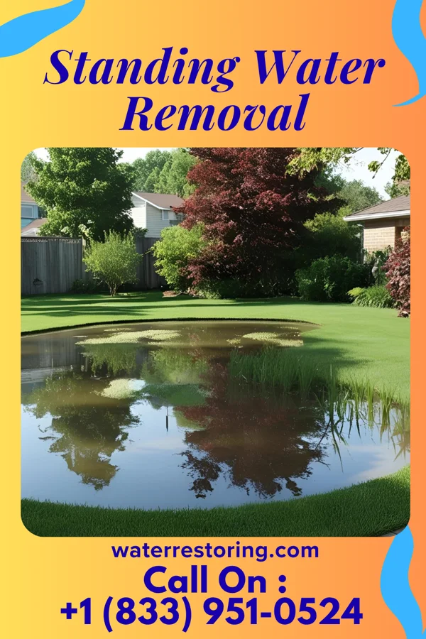 Standing Water Removal in Clinton, OH